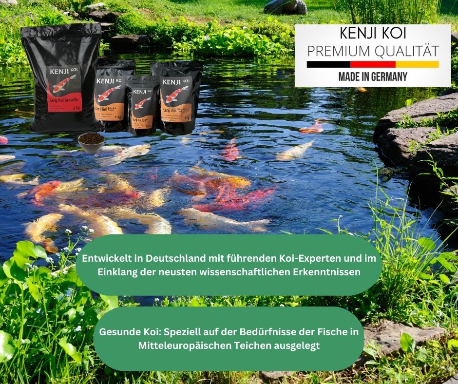 KENJI KOI Premium Qualität, entwickelt in Deutschland